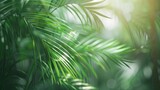 Close-up of vibrant green palm leaves with soft natural lighting. Detailed texture of green palm foliage in soft light. Serene green palm leaves illuminated by gentle sunlight.
