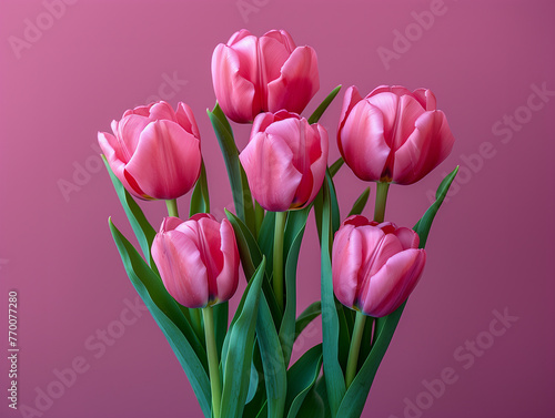 Creative concept for international mother and family day, Happy birthday. Pink tulip flower arrangement. Background with tulips. Flowers close up. Pink tulips, greeting card