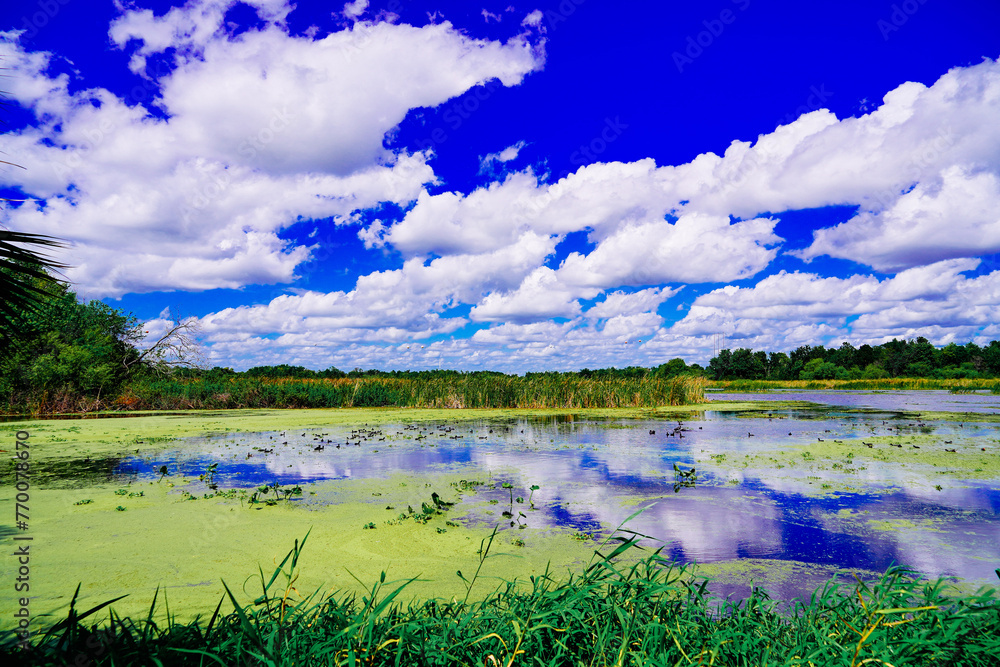 The landscape of Lake parker in Lakeland, Florida, USA	
