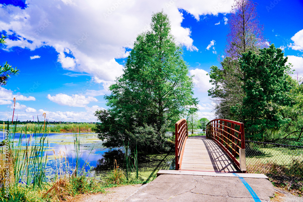 Ταπετσαρία The landscape of Lake parker in Lakeland, Florida, USA