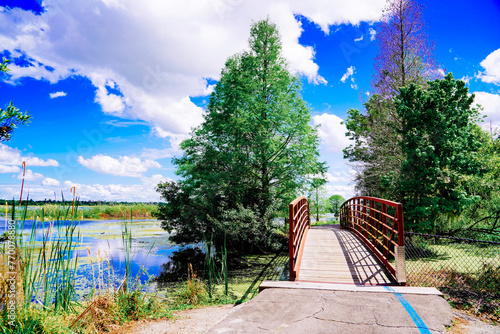 The landscape of Lake parker in Lakeland, Florida, USA