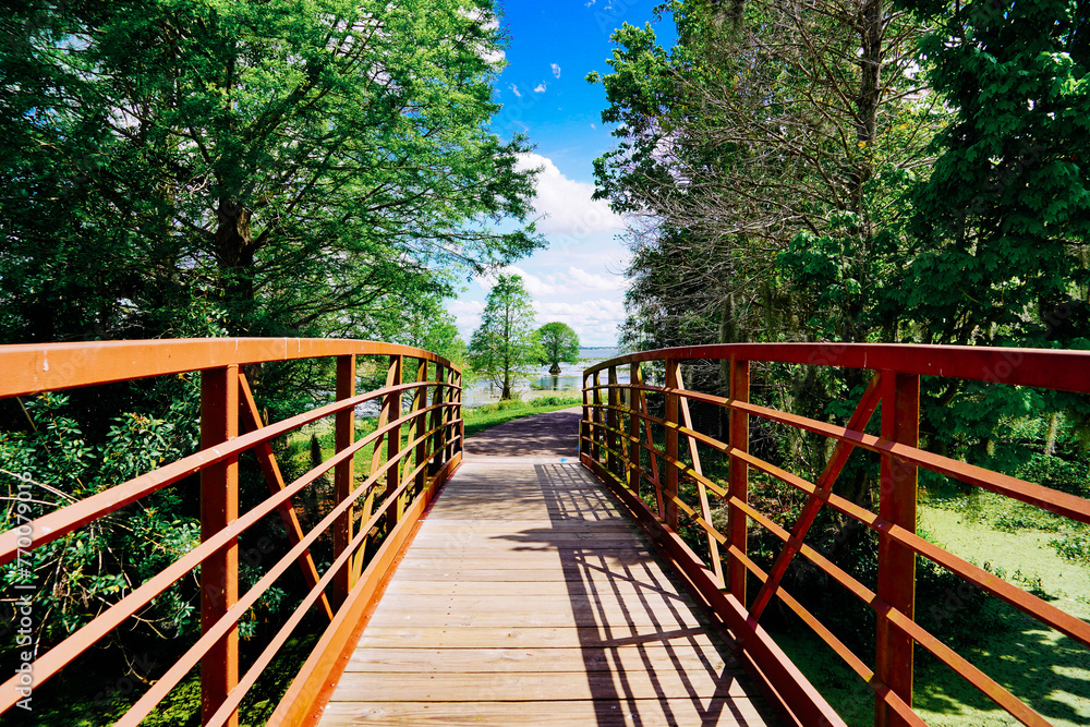 Ταπετσαρία The landscape of Lake parker in Lakeland, Florida, USA