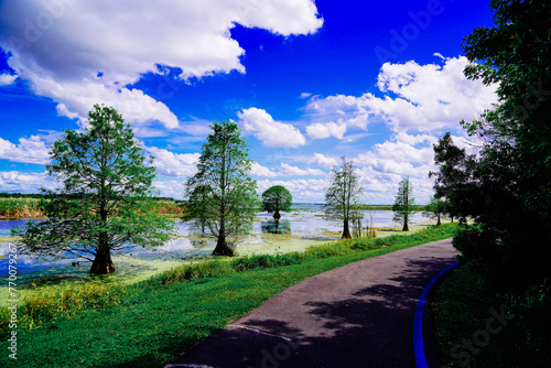 The landscape of Lake parker in Lakeland, Florida, USA