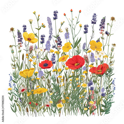 Springtime Splendor: Meadow Flowers Vectorized