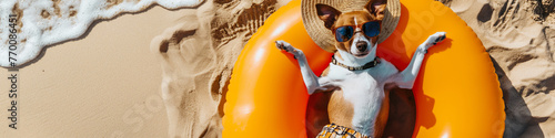 Summer Pup Paradise: Dog Lounging in Pool with Sunglasses and Straw Hat © Ricardo