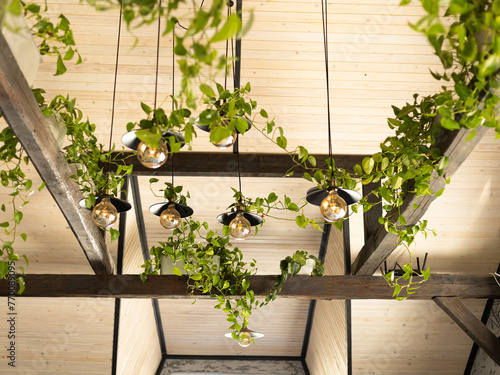 lighting lamps under the ceiling, intertwined with plants with green leaves