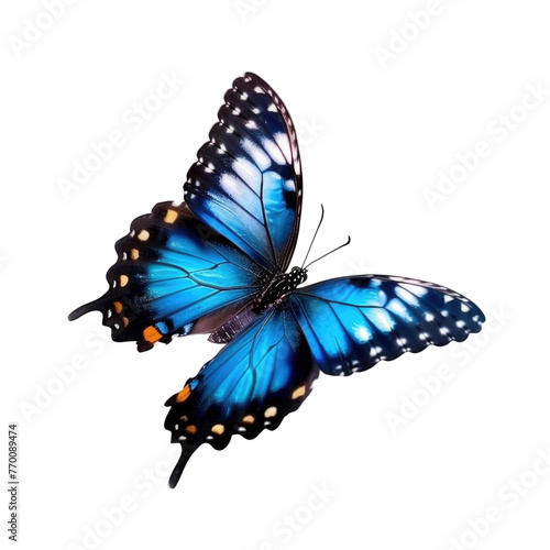Cyan blue butterfly flying transparent background