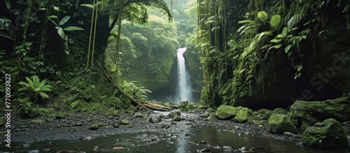 Majestic waterfall in the rainforest jungle photo