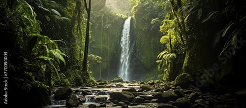 Majestic waterfall in the rainforest jungle
