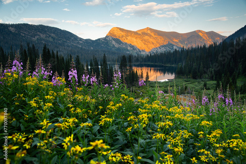 Wildflowers in a scenic mountain landscape photo