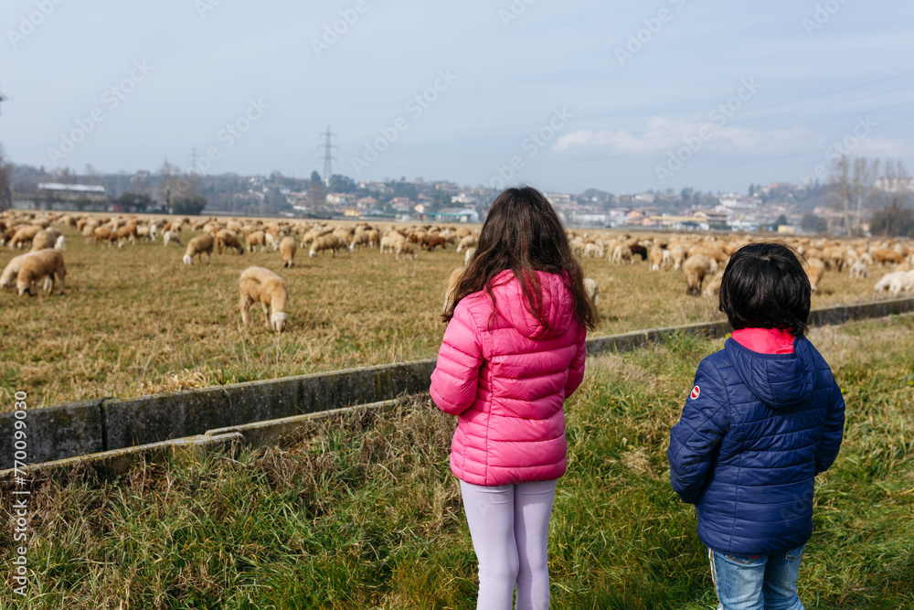 rear view of two children standing in the field watching sheep
