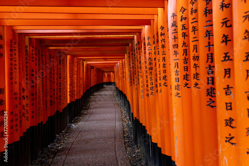 Fushimi Inari Shrine Torii Gates