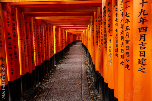Fushimi Inari Shrine Torii Gates photo