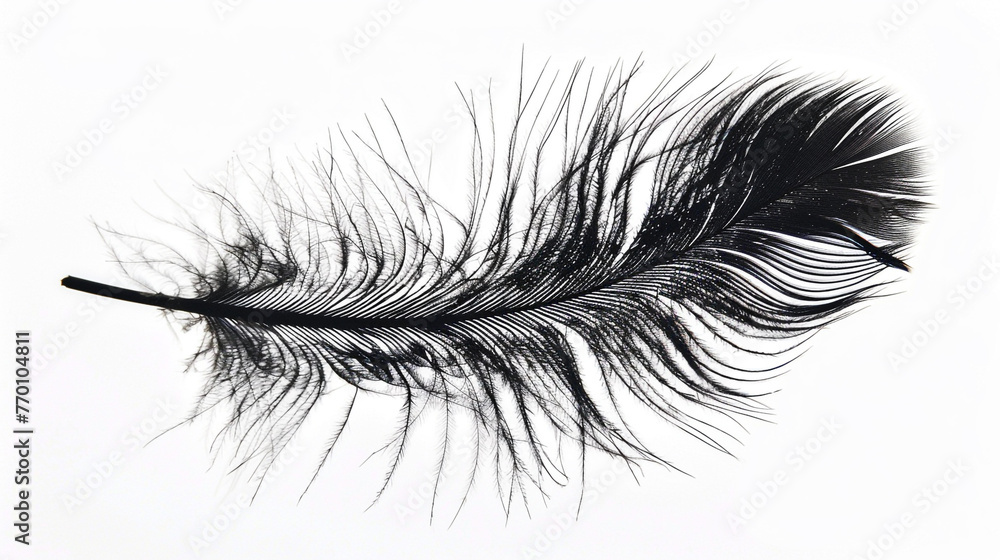 A silhouette of a feather, its fine details and texture highlighted against a white background. The image offers a sense of lightness and the intricate design of nature. A silhouette of a feather, its fine details and texture highlighted against a white background. The image offers a sense of lightness and the intricate design of nature.