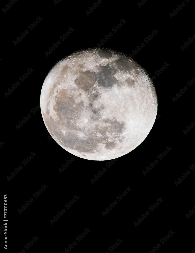 Naklejka premium full moon