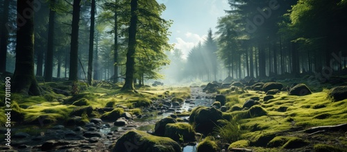 Beautiful sunny morning in green forest with fog generate by ai