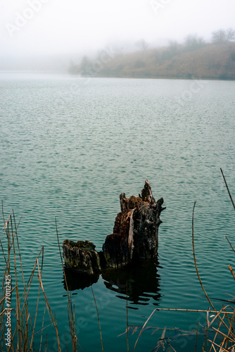 Fog and lake . Frost on lake . Blue morning . Fogy morning . Forest and lake . Trees on the lake . Blue water . Mystery nature . Landscape with fog . Morning at winter . Blue houre  photo