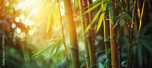 Obraz  z motywem Serene bamboo forest and meadow with soft natural light in blur style, lush green leaves and trees