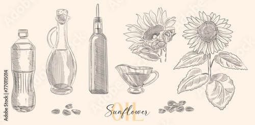 Vector collection of hand drawn bottle, sunflower and seed illustrations. Vintage set of oil and sunflower flower illustrations. Decorative engraved sketch of oil - sunflower oil