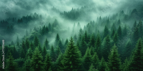 Aerial view of misty fir forest in vintage style. Foggy, Retro Nature Landscape Background 