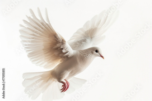  Ethereal White Dove in Flight with Wings Spread on a Light Background