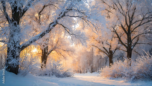 Frosted tree crowns bathed in pink light, a serene and captivating scene © Your Hand Please