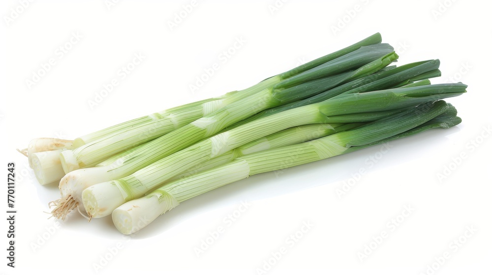 Single fresh leek isolated on white background for optimal visibility and search relevance Single fresh leek isolated on white background for optimal visibility and search relevance