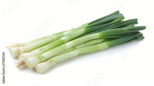 Single fresh leek isolated on white background for optimal visibility and search relevance