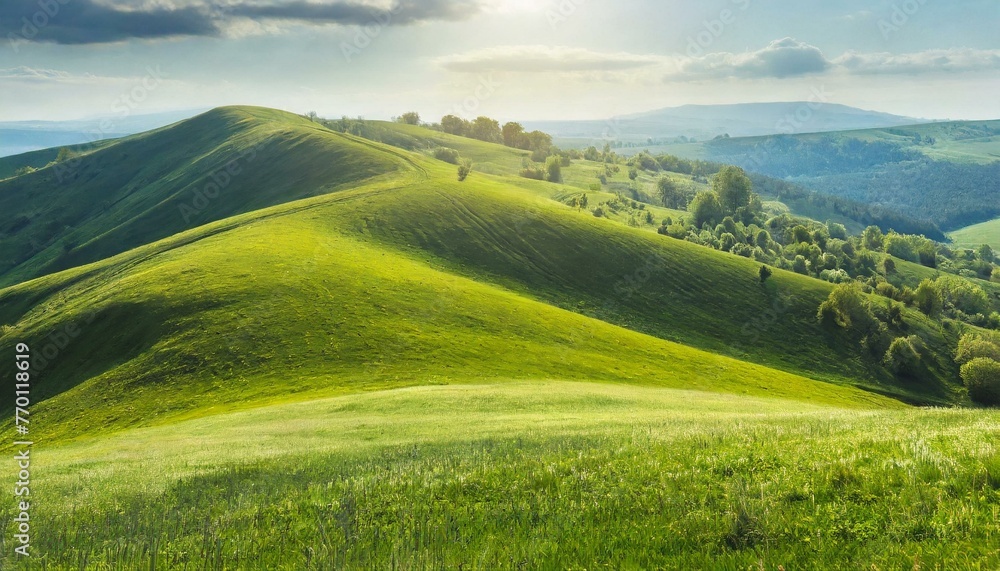 Beautiful natural spring summer landscape of meadow in a hilly area on a bright sunny day. Field with young juicy green grass.