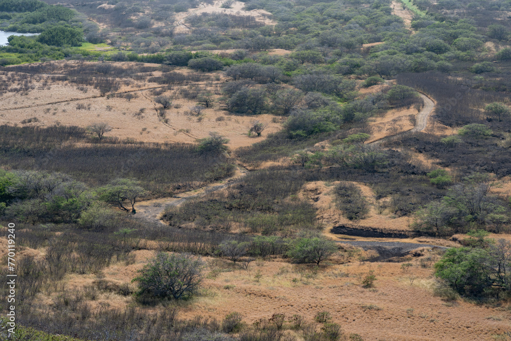 KAIWI STATE SCENIC SHORELINE, MAKAPUU POINT HONOLULU OAHU HAWII. Hawaiian tropical low shrublands

