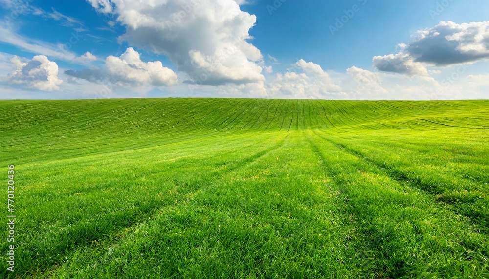 Obraz premium Beautiful natural scenic panorama green field of cut grass into and blue sky with clouds on horizon. Perfect green lawn on summer sunny day