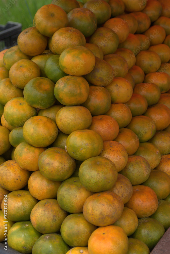 Frutas,de gran variedad todas tropicales,naranjas,cacao,nisperos,mandarinas. Frutas,de gran variedad todas tropicales,naranjas,cacao,nisperos,mandarinas.