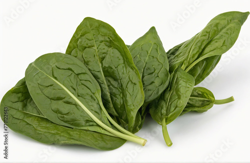 Ceylon Spinach, cut out on white background