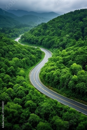 highway in the middle of the forest  bird s eye view Generative AI