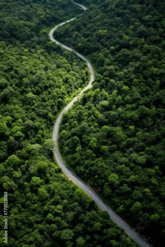 highway in the middle of the forest, bird's eye view Generative AI