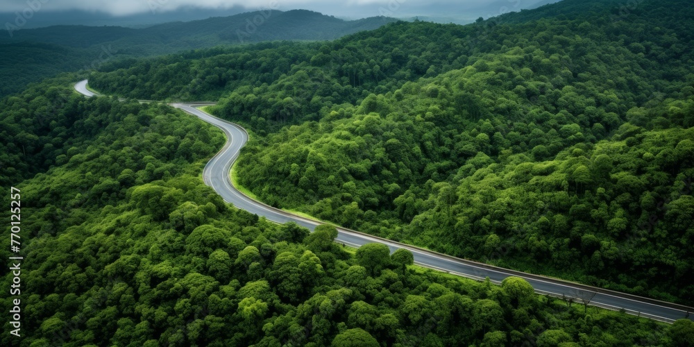 highway in the middle of the forest, bird's eye view Generative AI - obrazy, fototapety, plakaty 