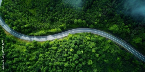 highway in the middle of the forest, bird's eye view Generative AI