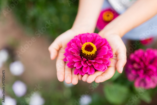 In an intimate gesture, tender anonymous hands offer a stunning pink Gerbera daisy with a vivid summer garden softly blurred in the background