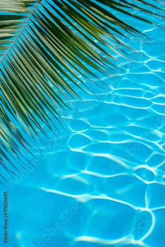 palm leaves against the background of azure ocean water Generative AI © València