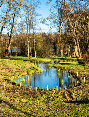 Spring scene on a sunny day by the lake of the Katzenseen nature reserve, Regensdorf, Switzerland. photo