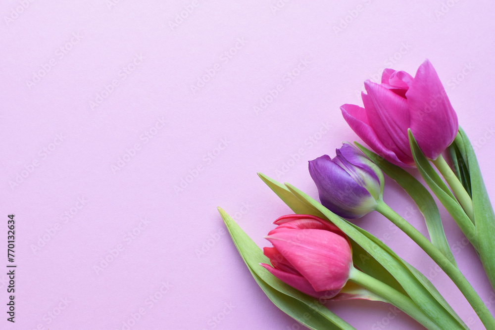Bouquet of colorful spring tulips for Mother's Day or Women's Day on a  pink background.  Copy space