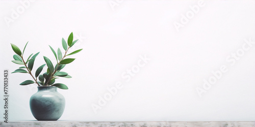 Minimalistic still life photography of a green plant in a ceramic vase on a concrete surface against a white background