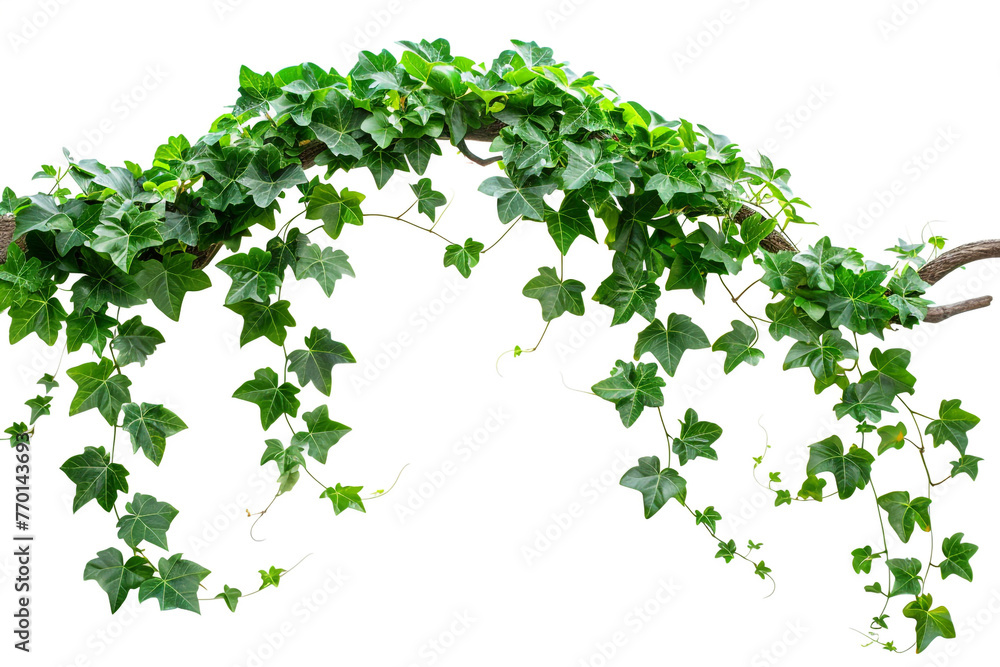 green world map with leaves green world map with leaves