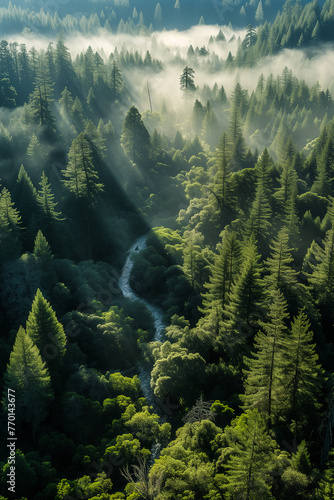 Misty forestscape with meandering river at sunrise. Generative AI image photo