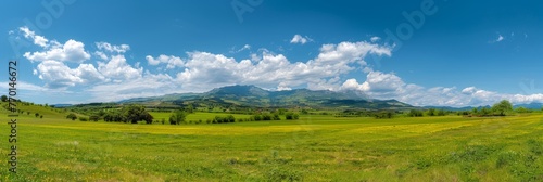 Tranquil mountain vista with lush meadows, wildflowers in rural nature banner, spring summer view