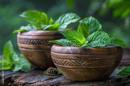 Carved wooden bowls holding fresh Mitragyna speciosa leaves, commonly known as kratom, against a lush backdrop photo