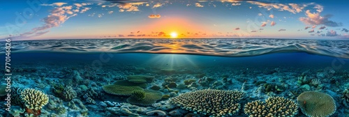 Split view of great barrier reef marine ecosystem at sunset in queensland, australia photo
