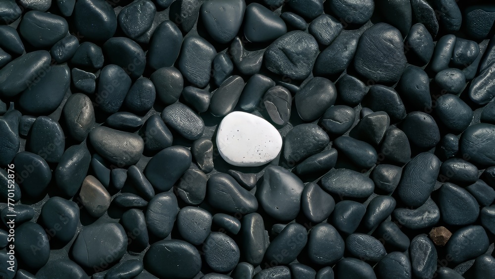 a black pebble surface with only one white pebble placed in the middle a black pebble surface with only one white pebble placed in the middle