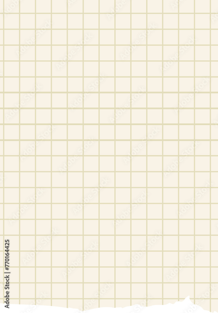 Ripped Graph Paper Ripped Graph Paper