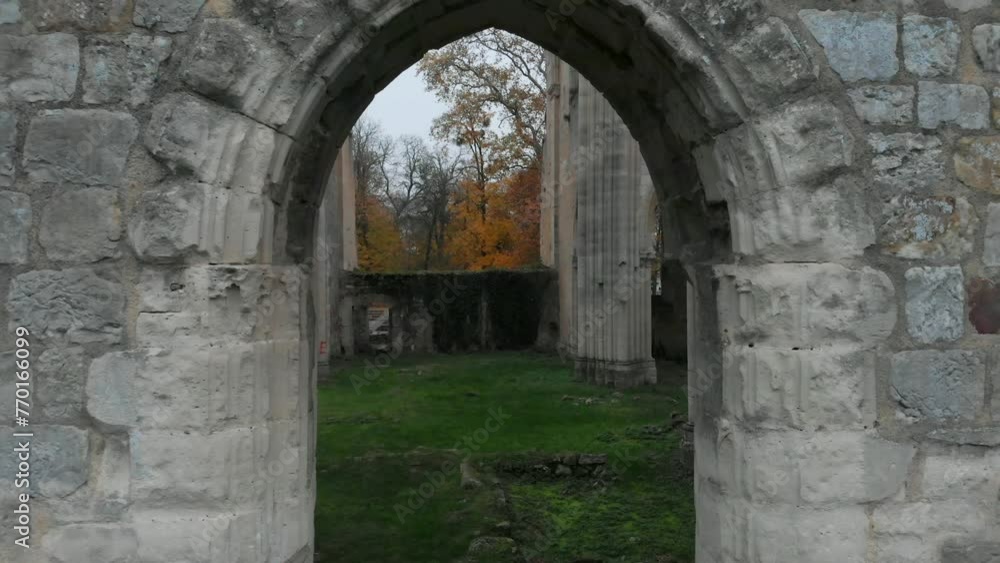 Ruins of medieval Abbaye Notre-Dame du Lys in France on a gray autumn day and colorful autumn leaves Ruins of medieval Abbaye Notre-Dame du Lys in France on a gray autumn day and colorful autumn leaves
